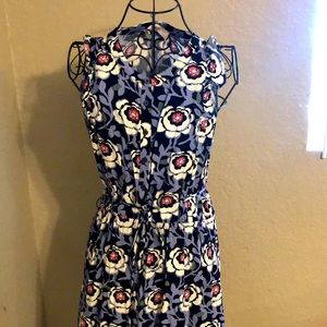 Anne Taylor Loft Dress